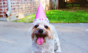 Media, Sex and Spin –  My Top 10 Blogs